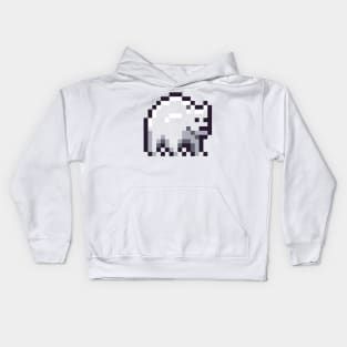 Polar Bear Kids Hoodie